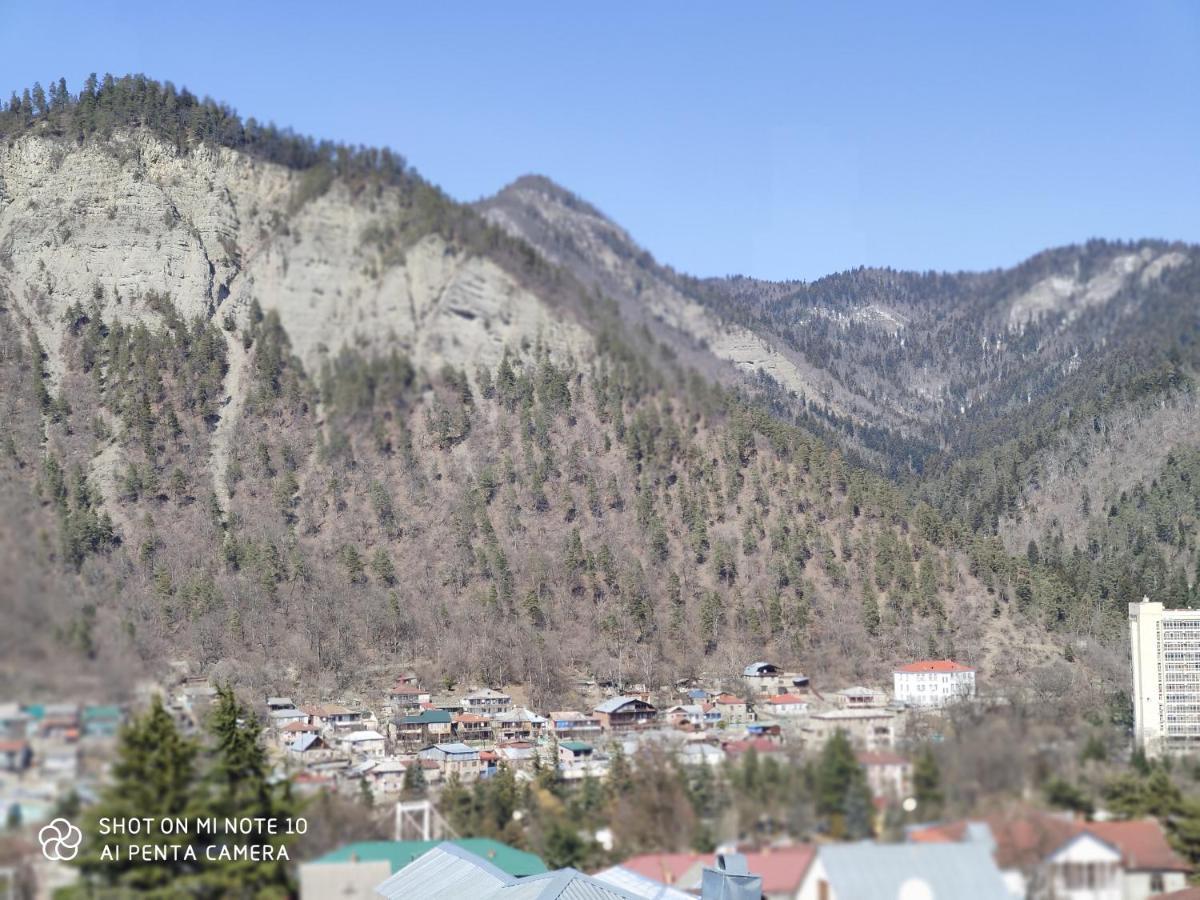 Borjomi Sichi Hotel Buitenkant foto
