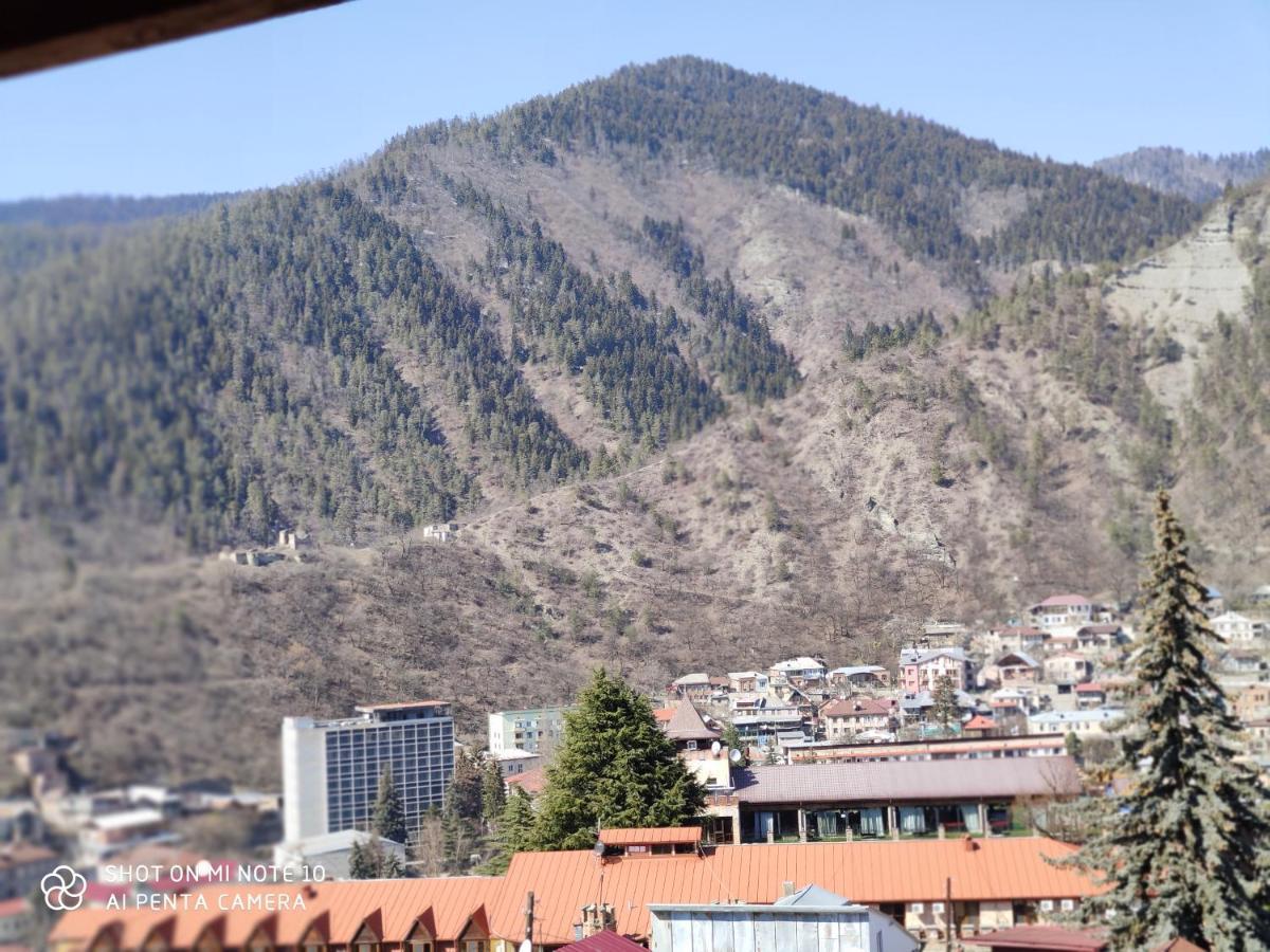 Borjomi Sichi Hotel Buitenkant foto